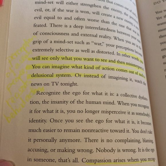 /‘/A New Earth- Awakening To your Life’s Purpose /‘/ - Picture 6 of 6